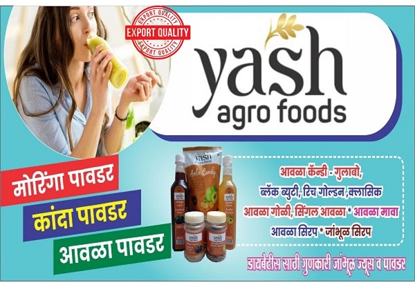 About Yash Agro Foods (Yash Food Platform Pvt.Ltd ) 